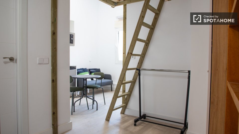Apartment mono Madrid — photo 11