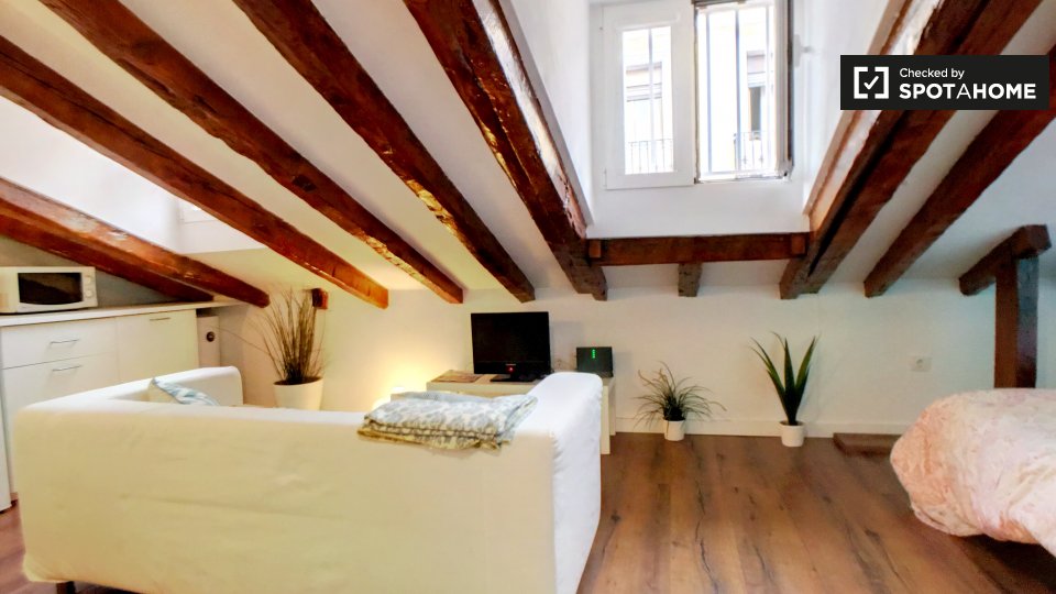 Apartment mono Madrid, 30m² — photo 12