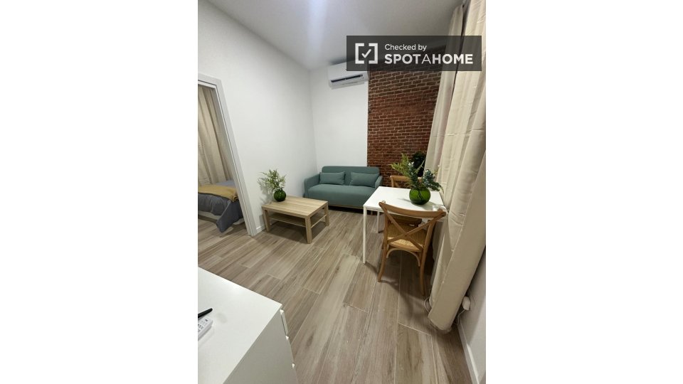 Apartment Madrid, 1 bed — photo 9