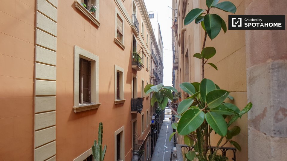Apartment mono Barcelona, 35m² — photo 9