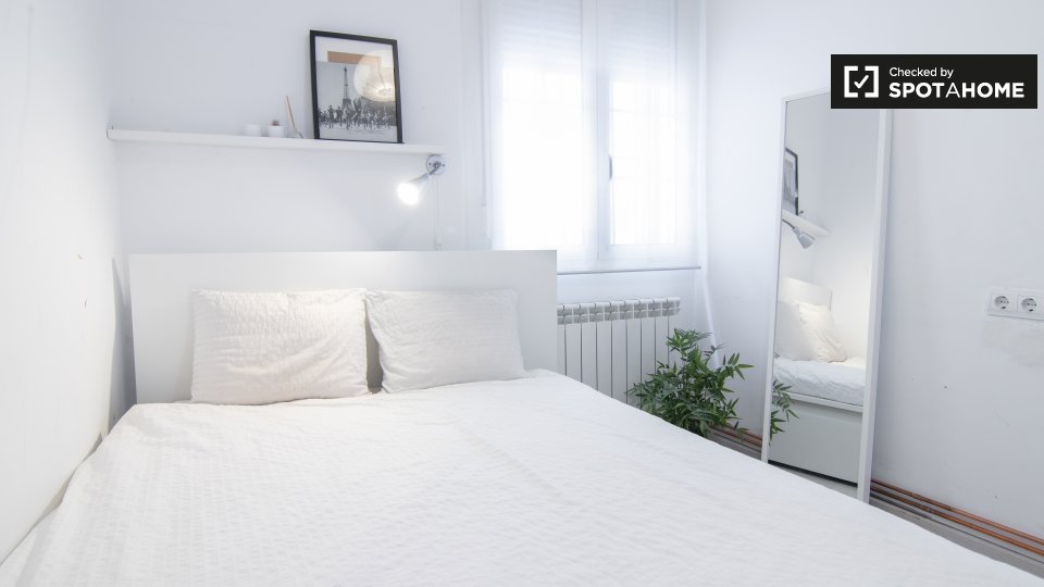 Double room Madrid, 2 beds, 45m² — photo 1