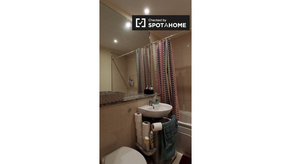 Double room Dublin, 2 beds, 80m² — photo 30