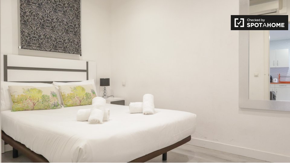 Apartment Madrid, 1 bed — photo 10