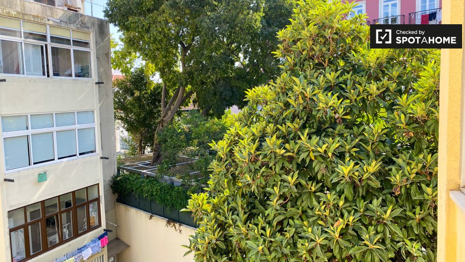 Double room Lisbon, 7 beds — photo 15