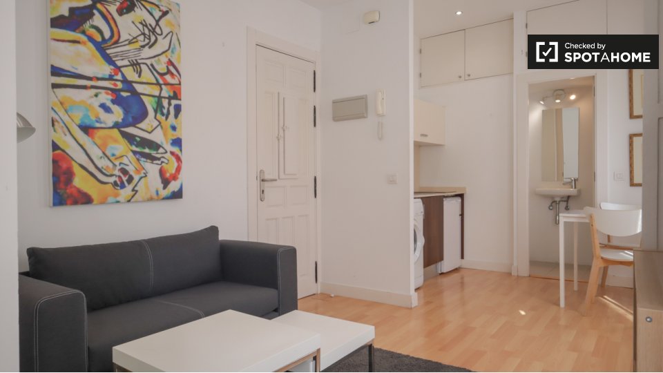 Apartment Madrid, 1 bed — photo 5