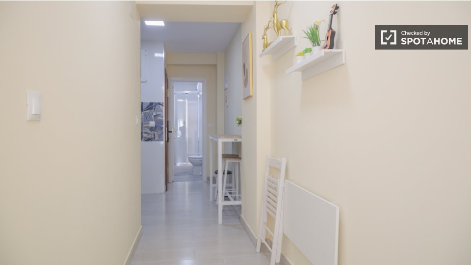 Apartment mono Madrid — photo 13