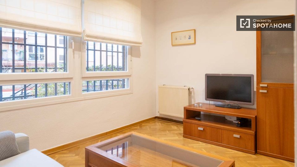 Apartment Madrid, 1 bed — photo 11