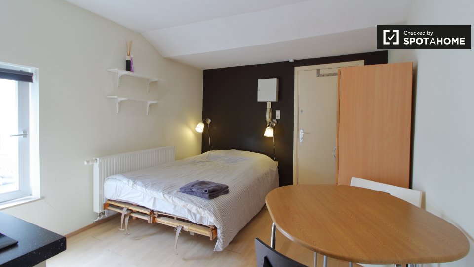 Studio apartment for rent in Ixelles, Brussels (ref 347913) Spotahome