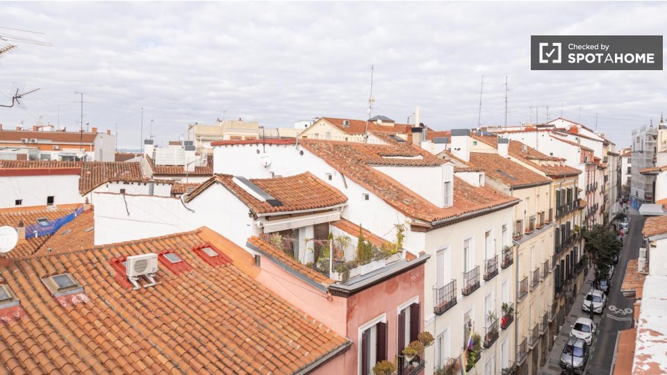 Apartment Madrid, 1 bed — photo 27