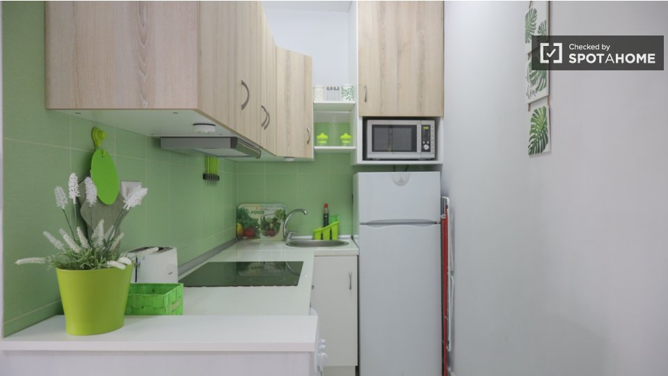 Apartment mono Madrid — photo 8
