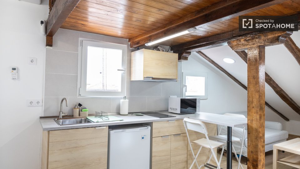 Apartment mono Madrid — photo 7