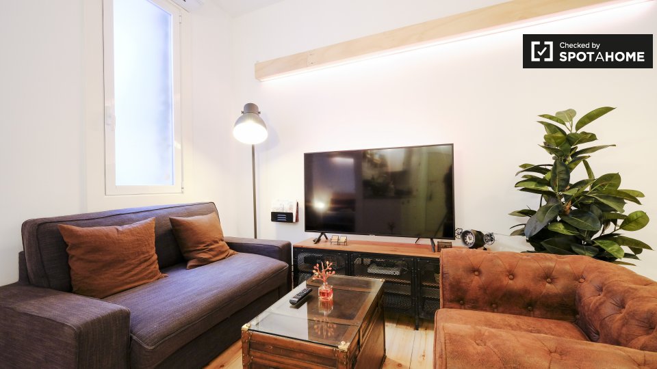 Cosy 1bedroom apartment for rent in Lavapiés, Madrid (ref 347494