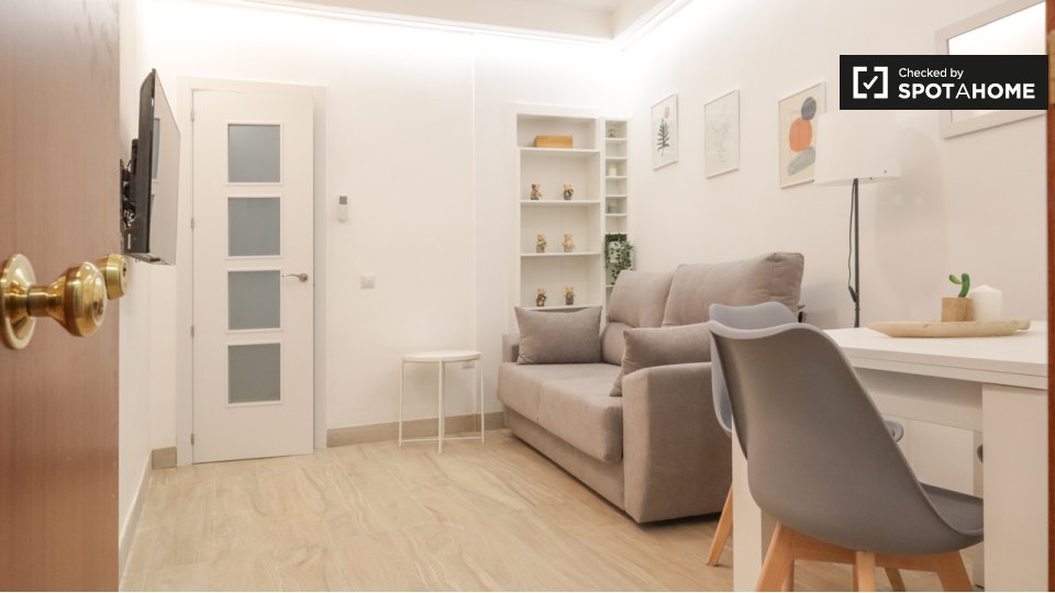 Apartment Madrid, 1 bed — photo 15