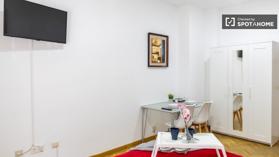Double room Madrid, 2 beds — photo 15
