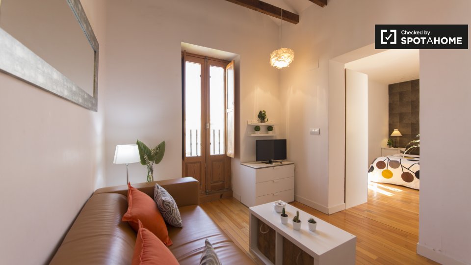 Apartment mono Madrid — photo 2