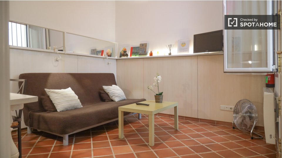 Apartment mono Madrid, 34m² — photo 13