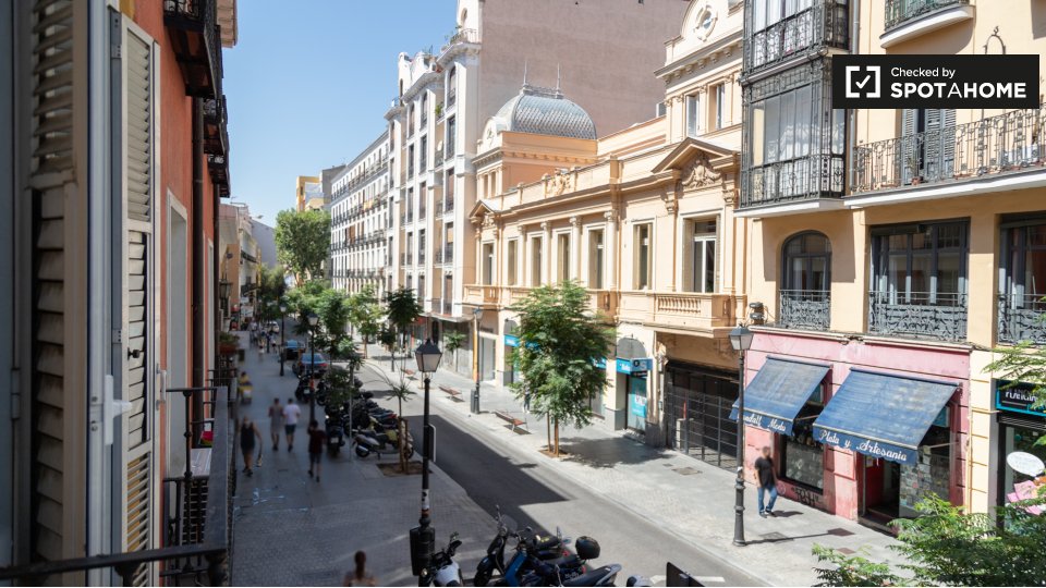 Double room Madrid, 7 beds, 125m² — photo 6