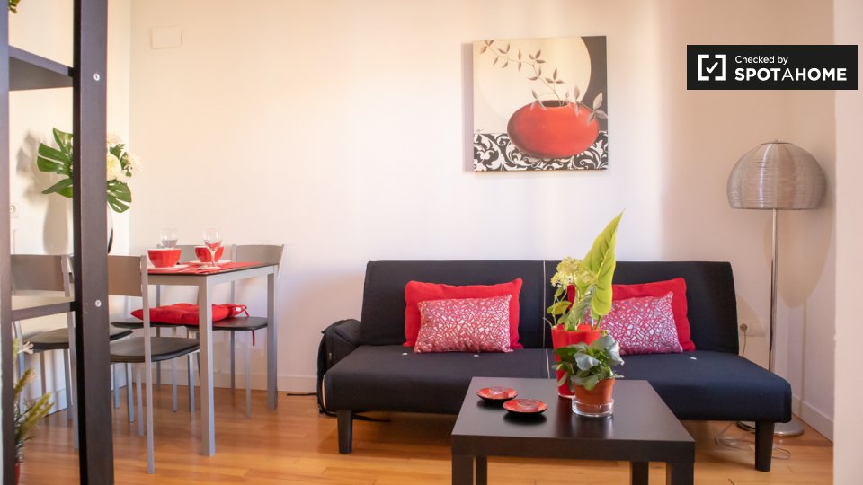 Apartment Madrid, 1 bed — photo 17