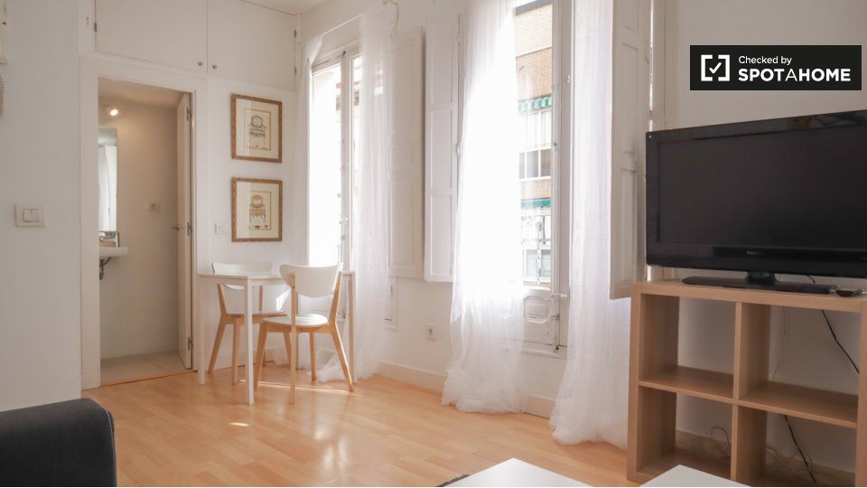 Apartment Madrid, 1 bed — photo 8