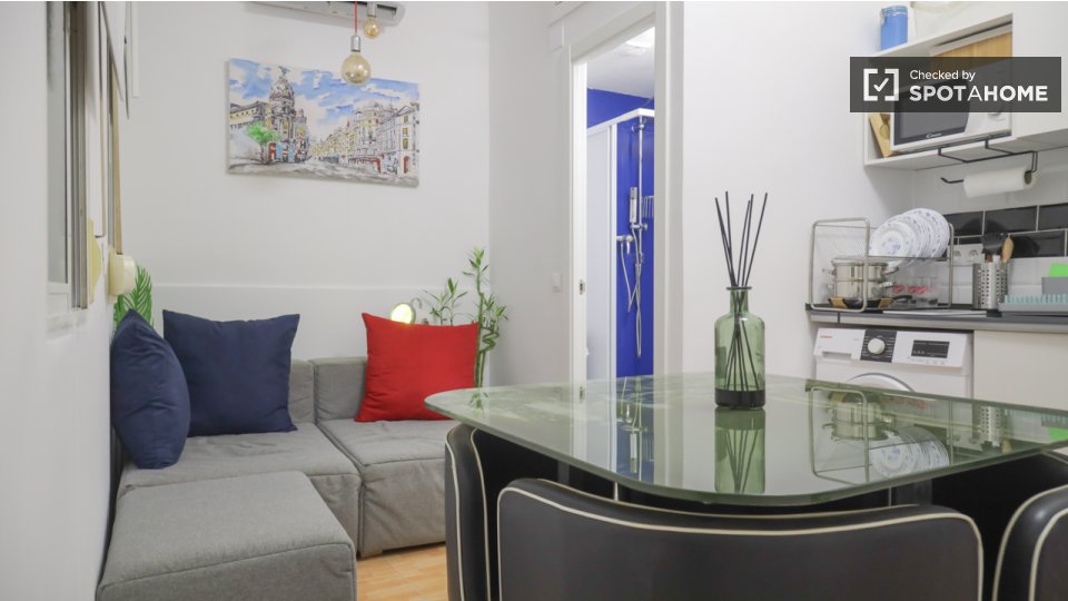 Apartment Madrid, 1 bed — photo 10