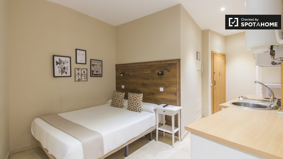 Apartment mono Madrid, 22m² — photo 5
