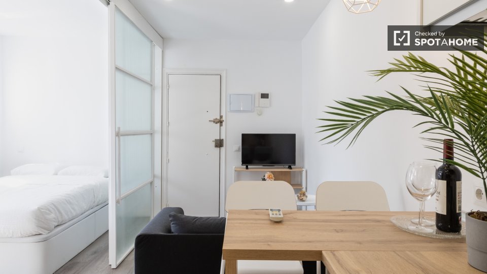 Apartment Madrid, 1 bed — photo 13