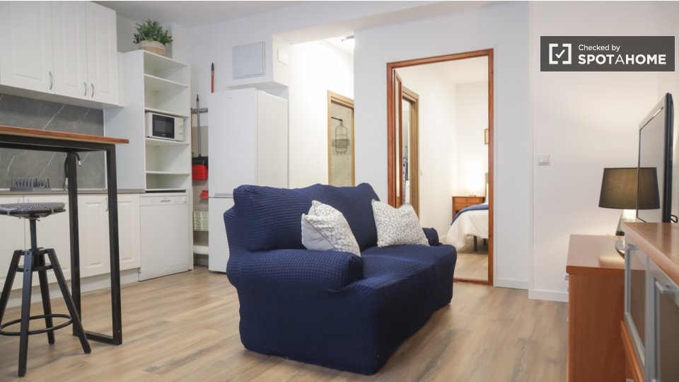 Apartment Madrid, 1 bed — photo 15
