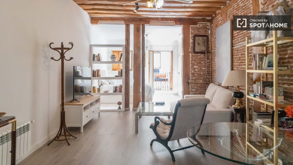 Apartment Madrid, 1 bed — photo 18