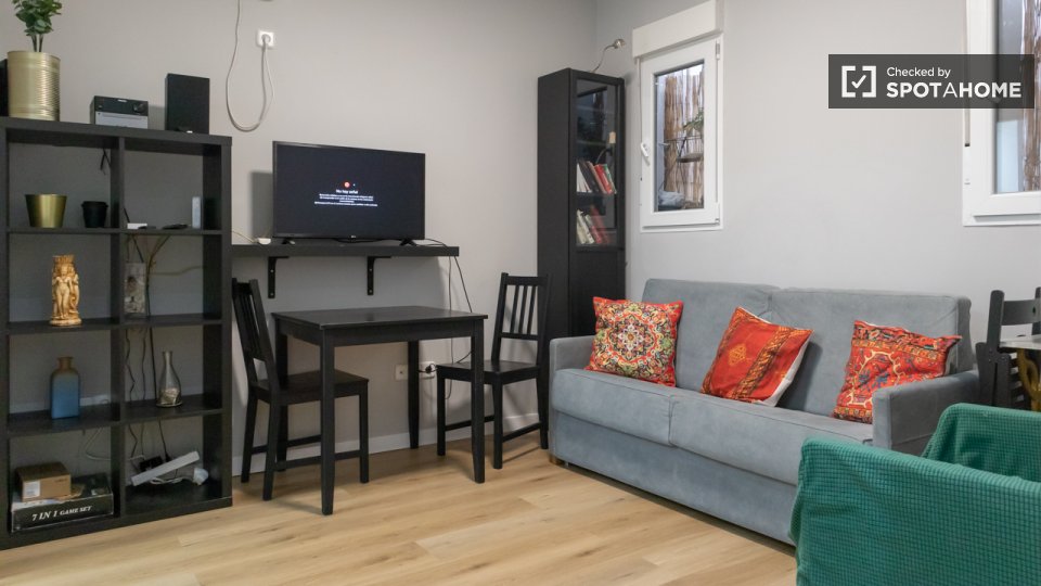 Apartment Madrid, 1 bed — photo 14