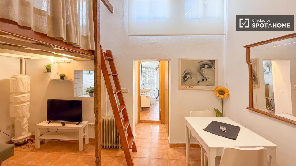 Apartment mono Madrid, 29m² — photo 45