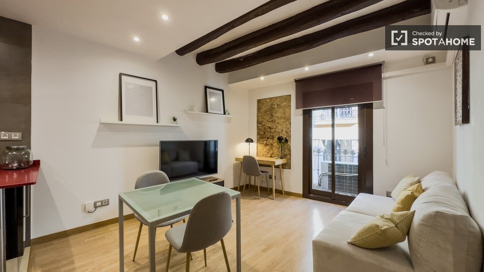 Apartment Barcelona, 1 bed — photo 10