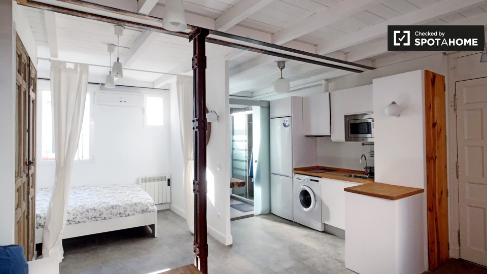 Apartment mono Madrid, 47m² — photo 13