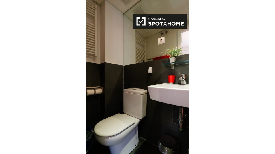 Apartment mono Madrid — photo 13