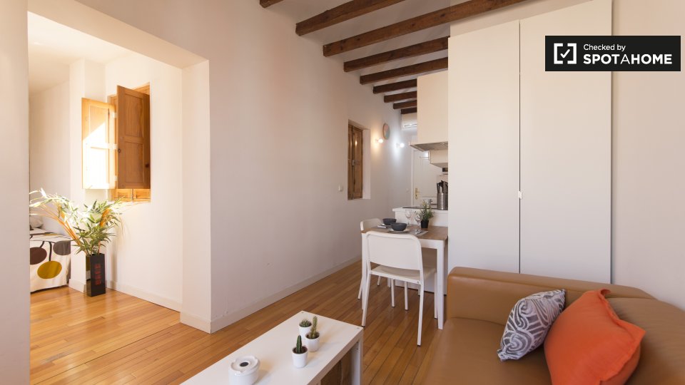 Apartment mono Madrid — photo 3