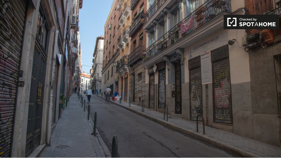 Apartment Madrid, 1 bed — photo 9