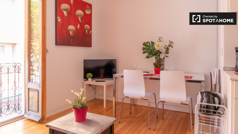 Apartment mono Madrid, 1m² — photo 3