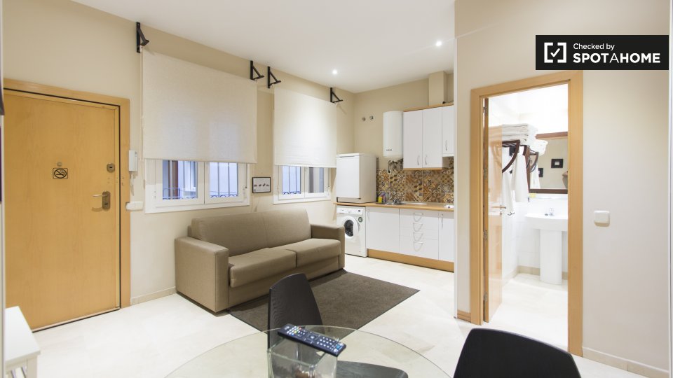Apartment Madrid, 1 bed, 41m² — photo 5