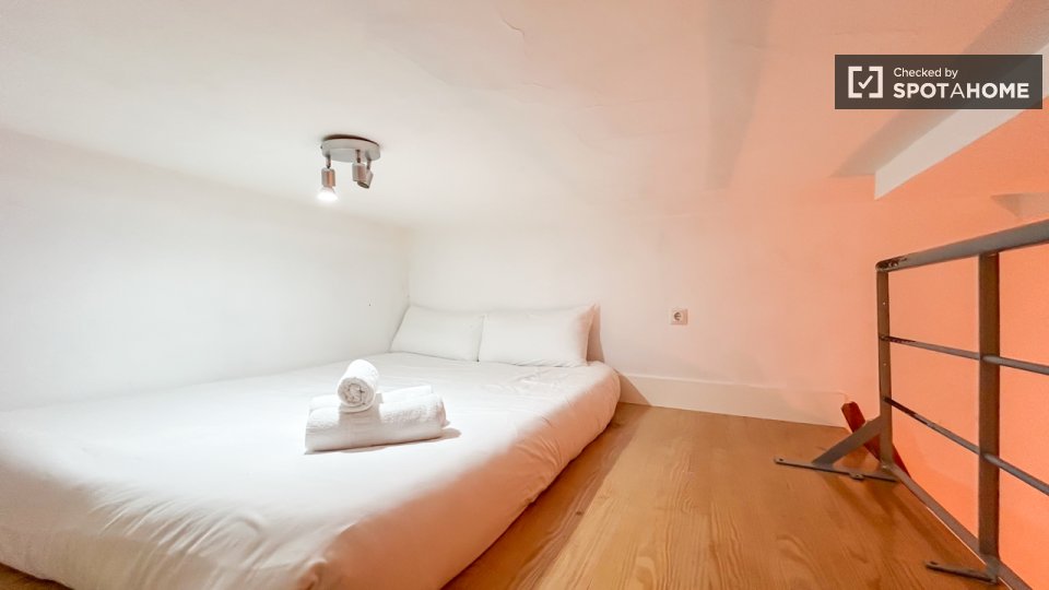 Apartment mono Madrid — photo 14