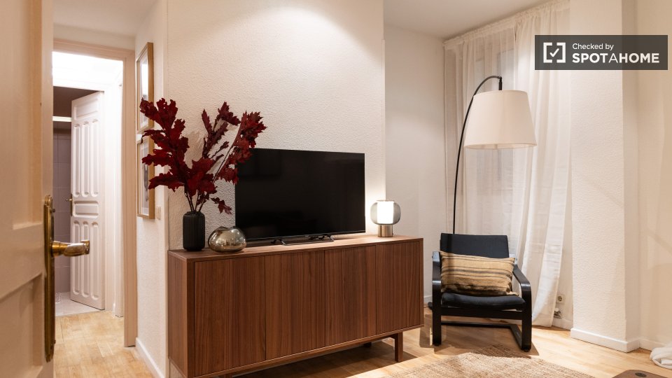 Apartment Madrid, 1 bed — photo 16