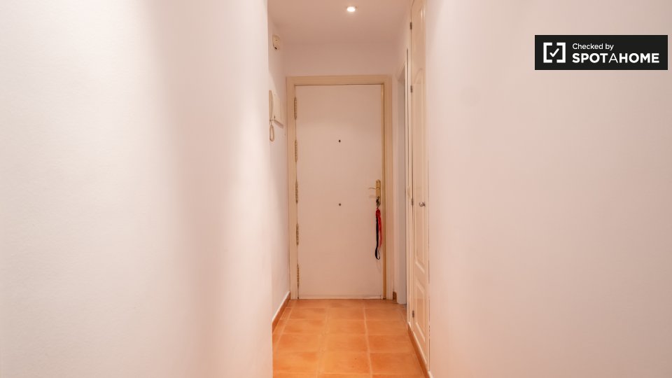 Apartment Madrid, 1 bed — photo 10