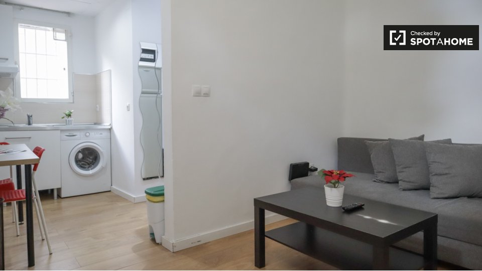 1-bedroom apartment for rent in Ciudad Universitaria, Madrid - in Madrid