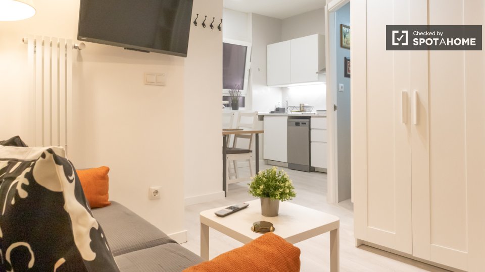 Apartment mono Madrid, 30m² — photo 11