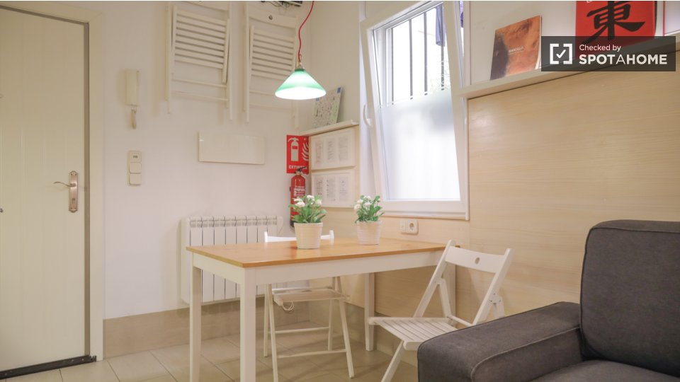 Apartment mono Madrid, 30m² — photo 12