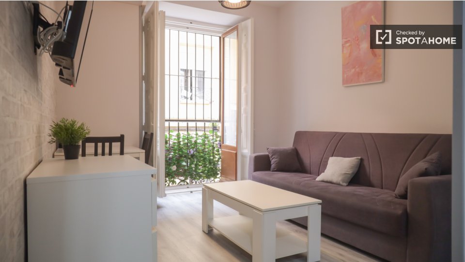 Apartment Madrid, 1 bed — photo 13