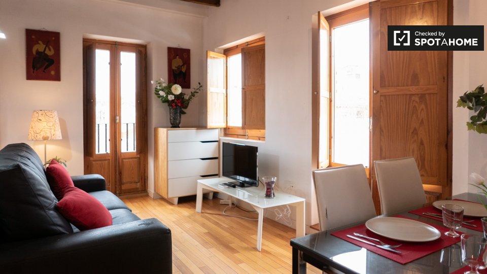 Apartment mono Madrid — photo 1