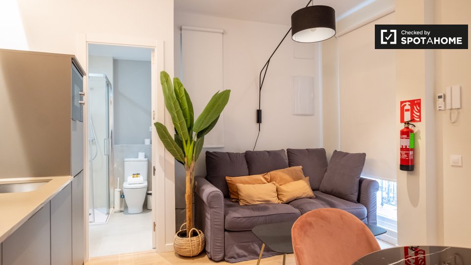 Apartment Madrid, 1 bed — photo 1
