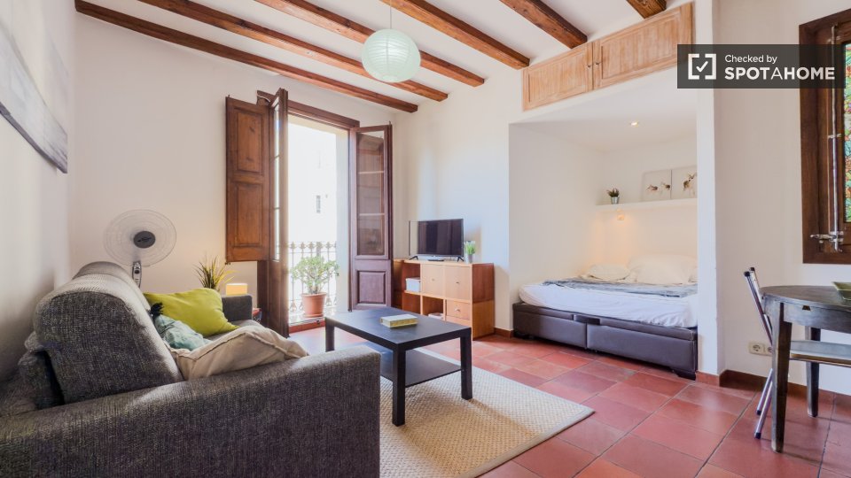 Apartment mono Barcelona, 35m² — photo 8