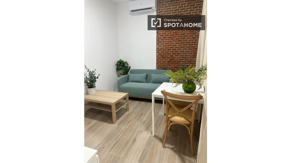 Apartment Madrid, 1 bed — photo 8