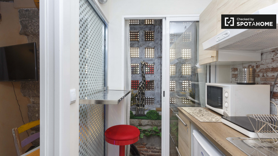 Apartment mono Madrid, 20m² — photo 6