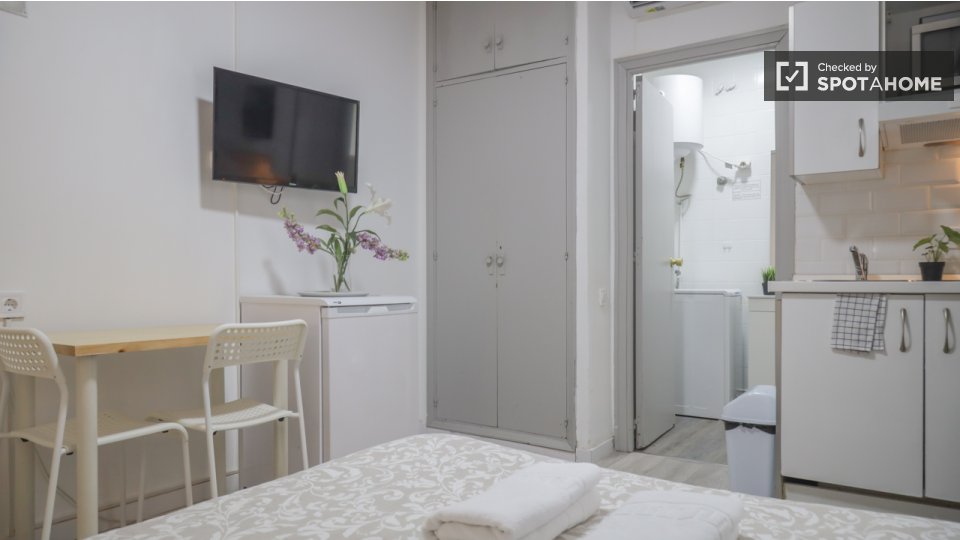 Apartment mono Madrid, 19m² — photo 5